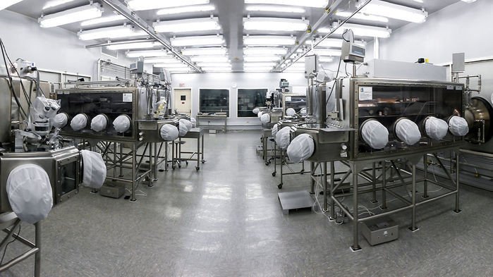 «Чистая комната» метеоритной лаборатории NASA заражена грибами