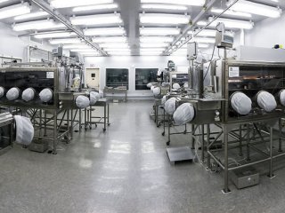 «Чистая комната» метеоритной лаборатории NASA заражена грибами