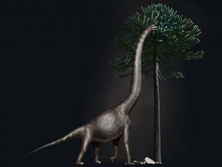 Палеонтологи определили, у какого динозавра был самый большой размер ноги