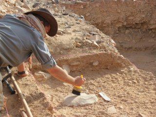 Одна из причин исчезновения Homo erectus – лень