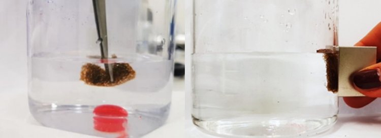 Супергидрофобная губка поможет очищать воду от нефтепродуктов