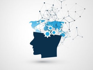 Способности мозга к памяти вдохновляют экспертов по искусственному интеллекту сделать нейронные сети менее «забывчивыми»