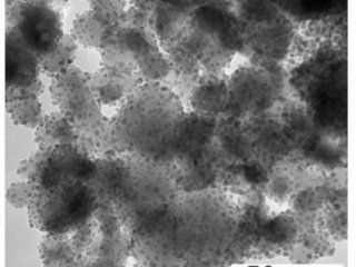 Низкотоксичные гибридные наночастицы найдут применение в биомедицине
