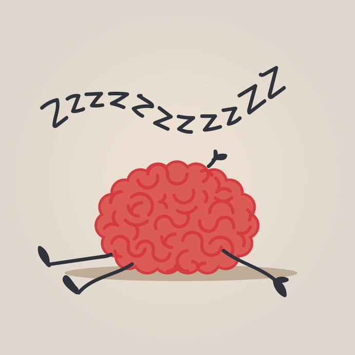 О чем думает спящий мозг?