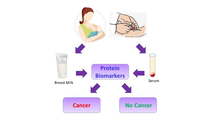 Ученые определили в грудном молоке биомаркеры рака