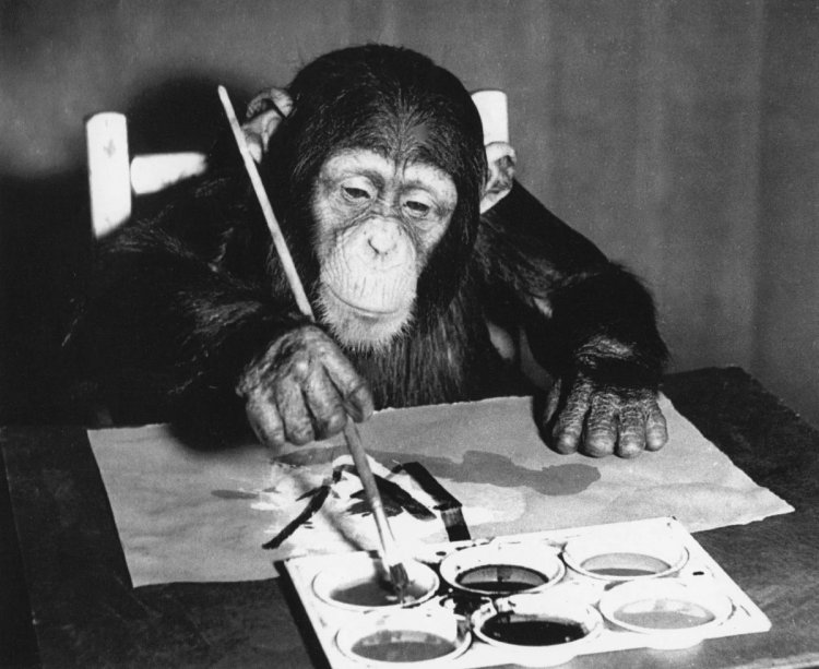 Конго — шимпанзе, который стал известным благодаря своим художественным способностям. Творческий талант Конго первым заметил зоолог и художник-сюрреалист Десмонд Моррис, когда двухлетнему шимпанзе предложили карандаш и бумагу. Художественный стиль животного описывали как «лирический абстрактный импрессионизм»