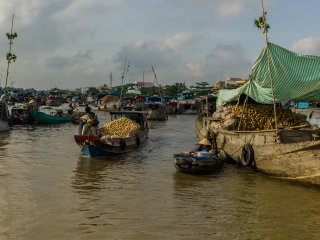 Самая резистентная форма малярии распространена в дельте реки Меконг во Вьетнаме. Автор: Roger Busslinger. Источник: Behance