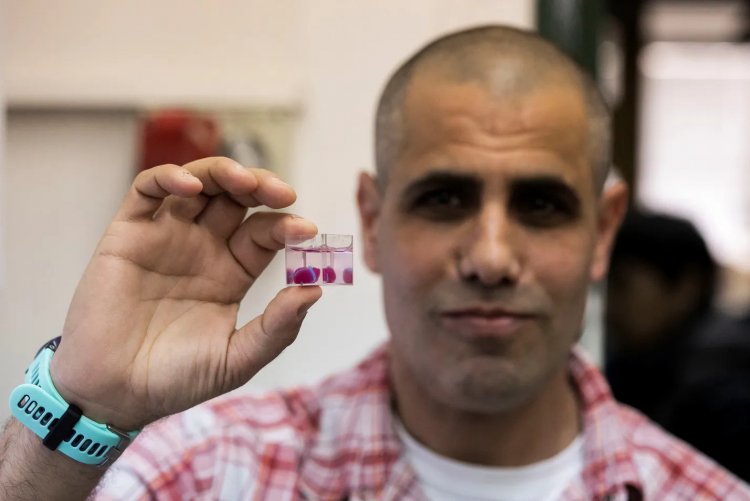 Исследователь из Тель-Авивского университета держит в руках первое в мире напечатанное на 3D-принтере сердце, 15 апреля 2019 г. 