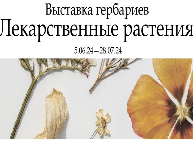Выставка «Лекарственные растения» 2024 https://gbmt.ru/ru/about/news/novosti/novaya-vystavka-v-pavilone-/