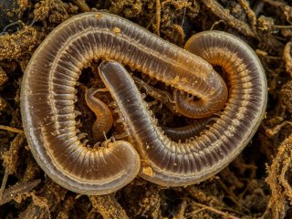 Фото: создано с помощью сервиса «Шедеврум»