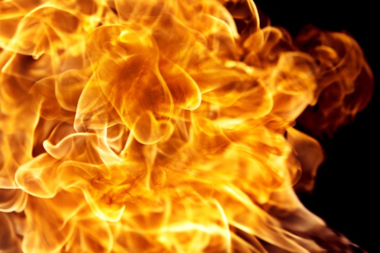 Изображение: cc0collection/Фотобанк RU.123RF