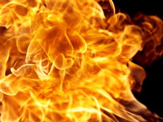 Изображение: cc0collection/Фотобанк RU.123RF