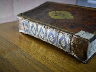 Фото: Елена Либрик / Научная Россия