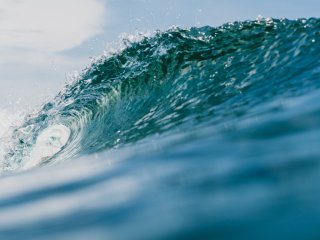 Изображение: Фотобанк Freepik