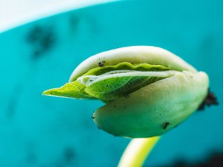 Изображение: Фотобанк Freepik