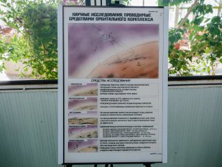 Фото Ольги Мерзляковой