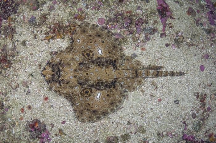 ������&nbsp; � ����� ������ ���� ���������� �����, � � ������ ���