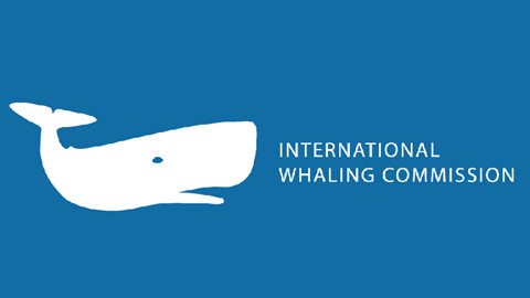 Международная китовая комиссия (МКК)  