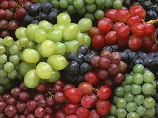 Президиум РАН: что есть и что будет с российским виноградарством