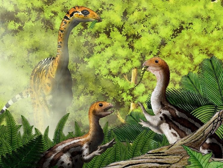 Скелетики динозавров объясняют, почему у птиц нет зубов