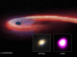 Черная дыра доедала остатки звезды десять лет