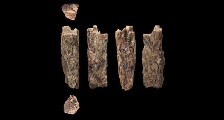 Впервые обнаружен ребенок неандертальца и денисовца