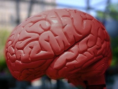 как устроен наш мозг синхронизация. Смотреть фото как устроен наш мозг синхронизация. Смотреть картинку как устроен наш мозг синхронизация. Картинка про как устроен наш мозг синхронизация. Фото как устроен наш мозг синхронизация как устроен наш мозг синхронизация. Смотреть фото как устроен наш мозг синхронизация. Смотреть картинку как устроен наш мозг синхронизация. Картинка про как устроен наш мозг синхронизация. Фото как устроен наш мозг синхронизация