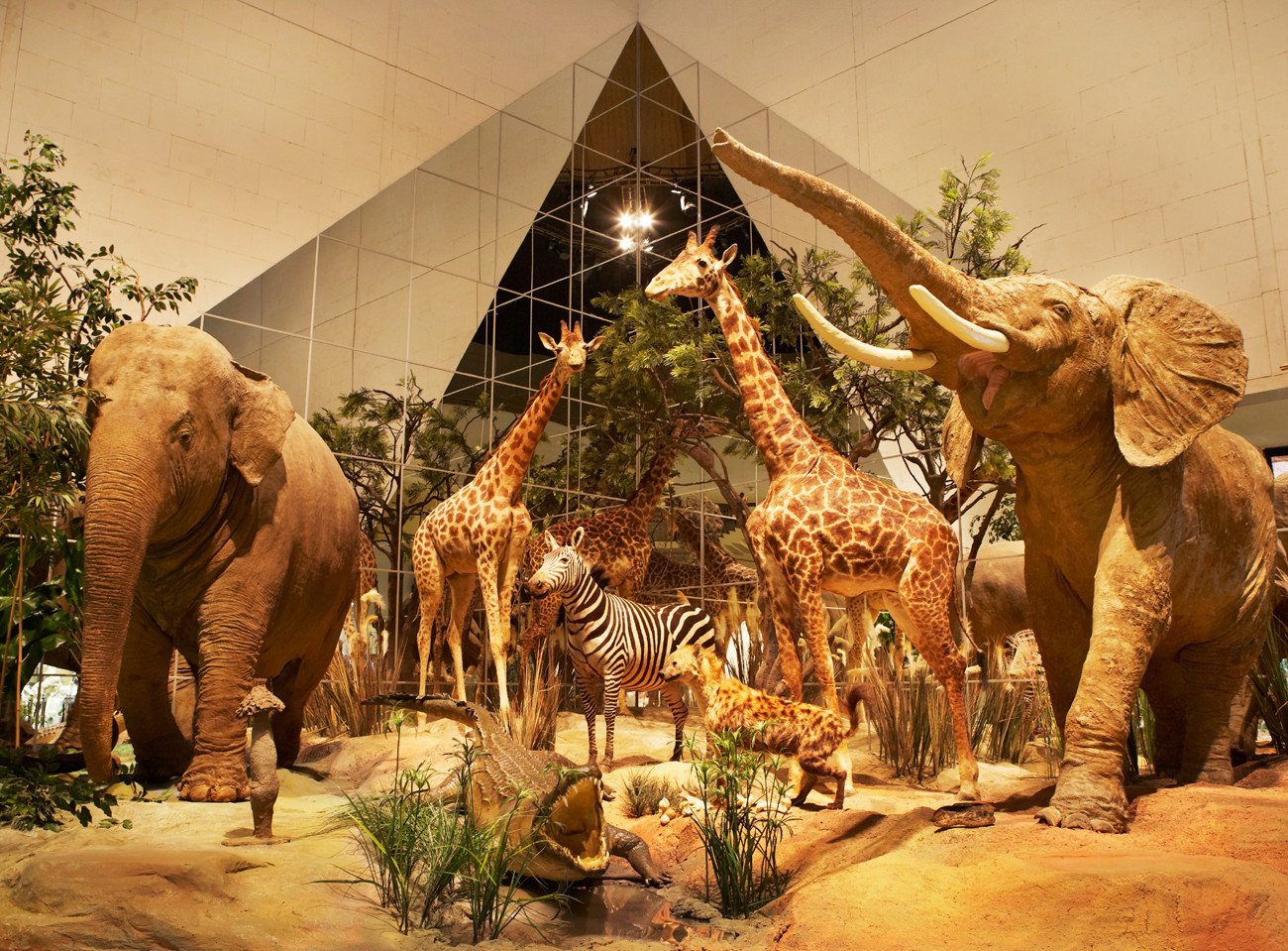 дарвиновский музей динозавры фото