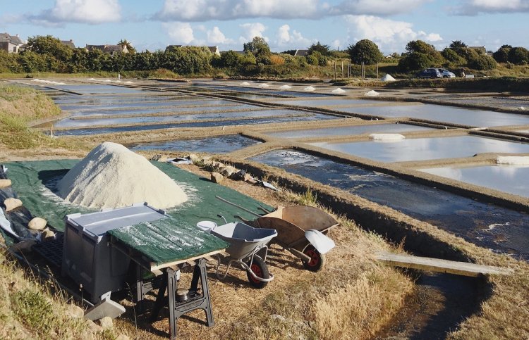 �&nbsp; ���� �� ��� ������� ������� ������������� ����