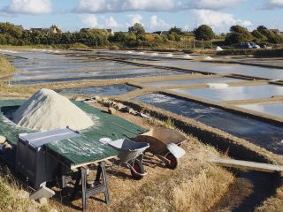 Солеварня у деревни Кервале, где ведут исследования ученые ИНГГ СО РАН. Фото предоставлены А.В. Колесниковым