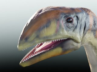 В Гренландии обнаружены останки динозавра нового вида 