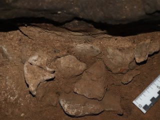 Процесс расчистки ямки с костями в Серпиевской-2 пещере (Челябинская область)