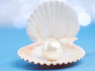 Жемчуг. Фото: strelok / 123RF