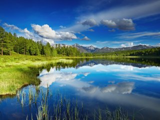 Источник фото: ru.123rf.com