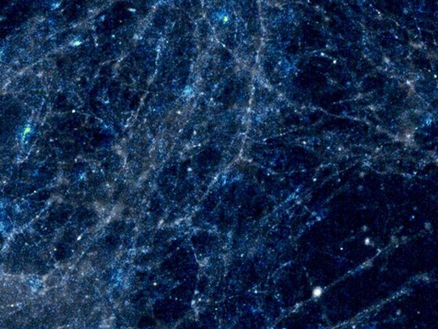 Скриншот из видео культивируемых нейронов, экспрессирующих iGluSnFR3 (100 Гц, снято на простой широкопольный микроскоп). Нейроны были подавлены с помощью TTX, блокирующего вызванное высвобождение глутамата. Фото: Allen Institute / Kaspar Podgorski