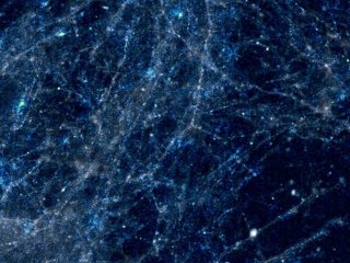 Скриншот из видео культивируемых нейронов, экспрессирующих iGluSnFR3 (100 Гц, снято на простой широкопольный микроскоп). Нейроны были подавлены с помощью TTX, блокирующего вызванное высвобождение глутамата. Фото: Allen Institute / Kaspar Podgorski