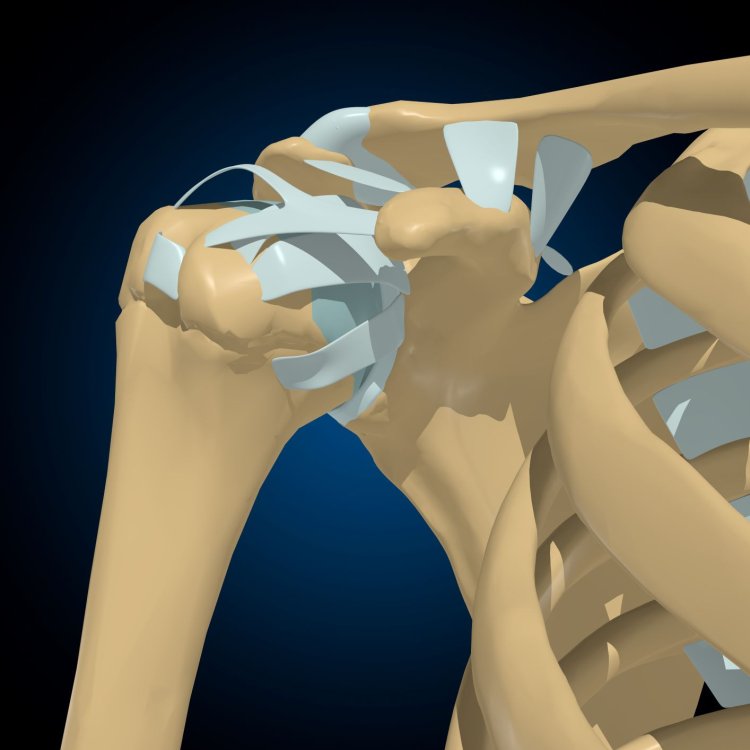 Изображение: myboxpra/Фотобанк RU.123.RF