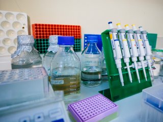 В лаборатории структурно-функциональной организации хромосом Института биологии гена РАН. Фото: Ольга Мерзлякова / «Научная Россия»