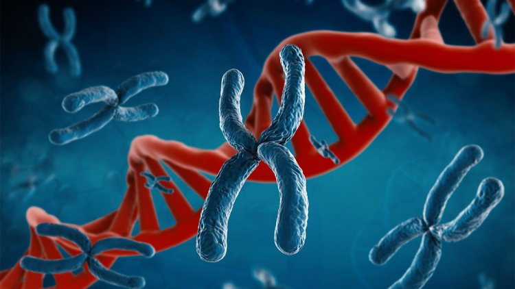 Источник: phonlamaiphoto / 123RF