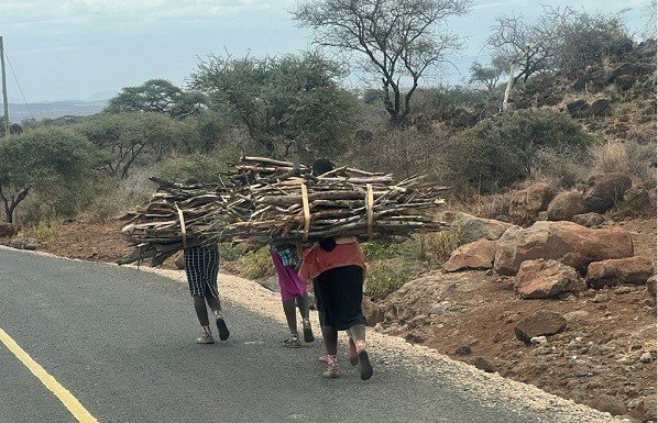 Геоэкологическое страноведение