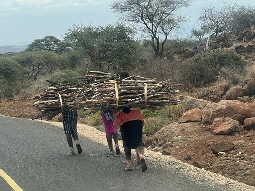 Фотография предоставлена МГУ (msu.ru)