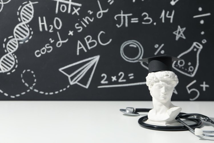 Изображение: Фотобанк Freepik