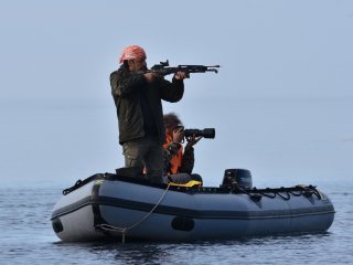 Взятие пробы тканей белух с помощью арбалета. Фото: Беттина ван Элк, волонтер экспедиций ИО РАН / предоставлено В.В. Красновой 