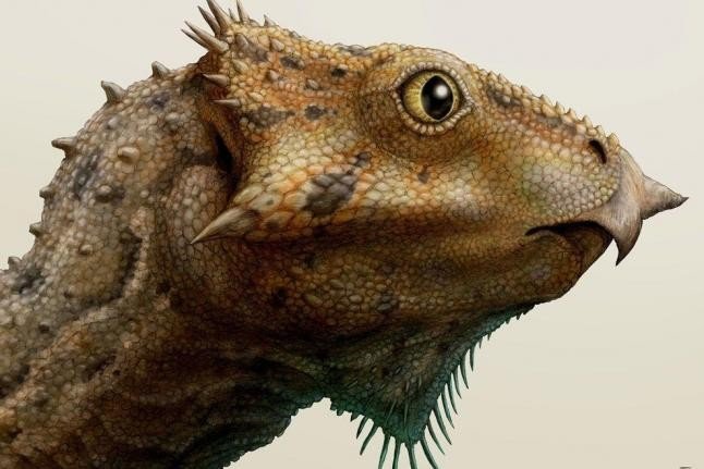 Найден древнейший рогатый динозавр Америки