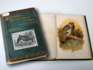 Дарвиновский музей приглашает на выставку «Патриарх российской орнитологии»