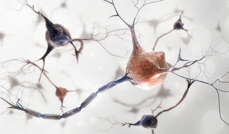 Стимуляция мозга может помочь при ранних стадиях болезни Альцгеймера