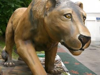 Шерстистый носорог и пещерный лев поселились в Палеопарке Дарвиновского музея