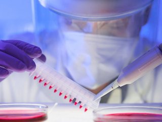 Российские ученые нашли молекулу против устойчивого к химиотерапии рака