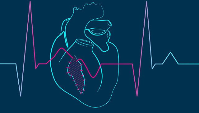 Биологи из МФТИ в соавторстве с учеными из Бельгии создали компьютерную модель сердечной ткани