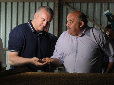 В Институте сельского хозяйства Крыма вывели новые сорта зерновых культур, которые дают хороший урожай в условиях засухи